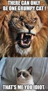 Grumpy Cat GRUMPY CAT CRAMEMS MEMES
