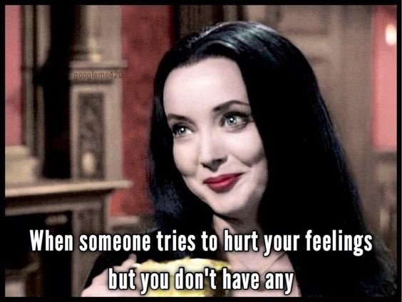 Try To Hurt Your Feelings TRY TO HURT YOUR FEELINGS CRAMEMS MEMES