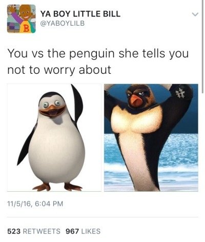 You Vs Penguin YOU VS PENGUIN CRAMEMS MEMES