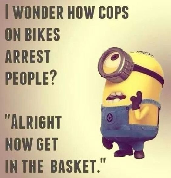 Get In The Basket GET IN THE BASKET CRAMEMS MEMES