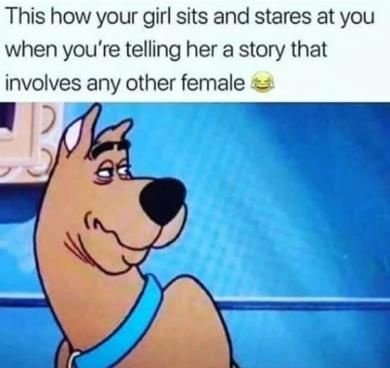 Any Other Female Any other female CRAMEMS MEMES
