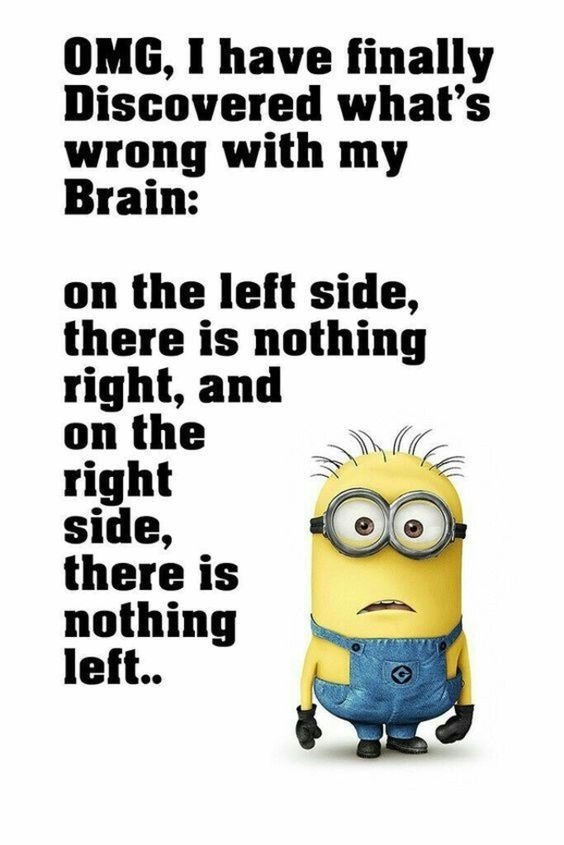 Omg My Brain OMG my brain CRAMEMS MEMES