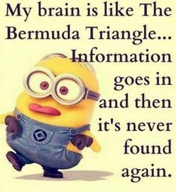 Bermuda Triangle! BERMUDA TRIANGLE! CRAMEMS MEMES