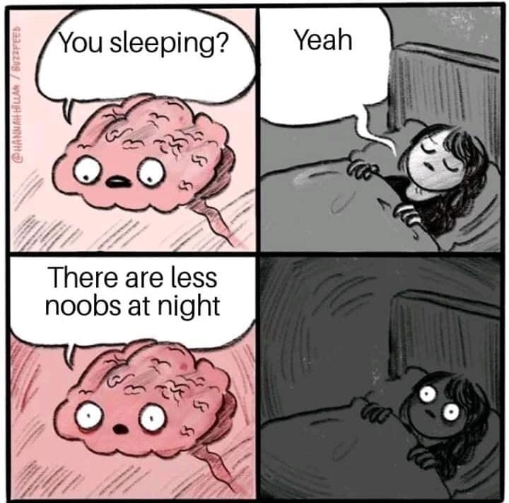 Less noobs at night  CRAMEMS MEMES