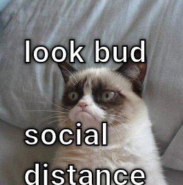 Social Distance When your cat listens
To the news CRAMEMS MEMES