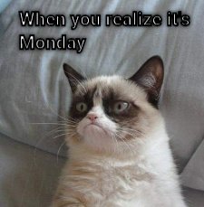 Monday Morning  CRAMEMS MEMES