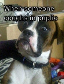 When Someone Coughs In Public  CRAMEMS MEMES